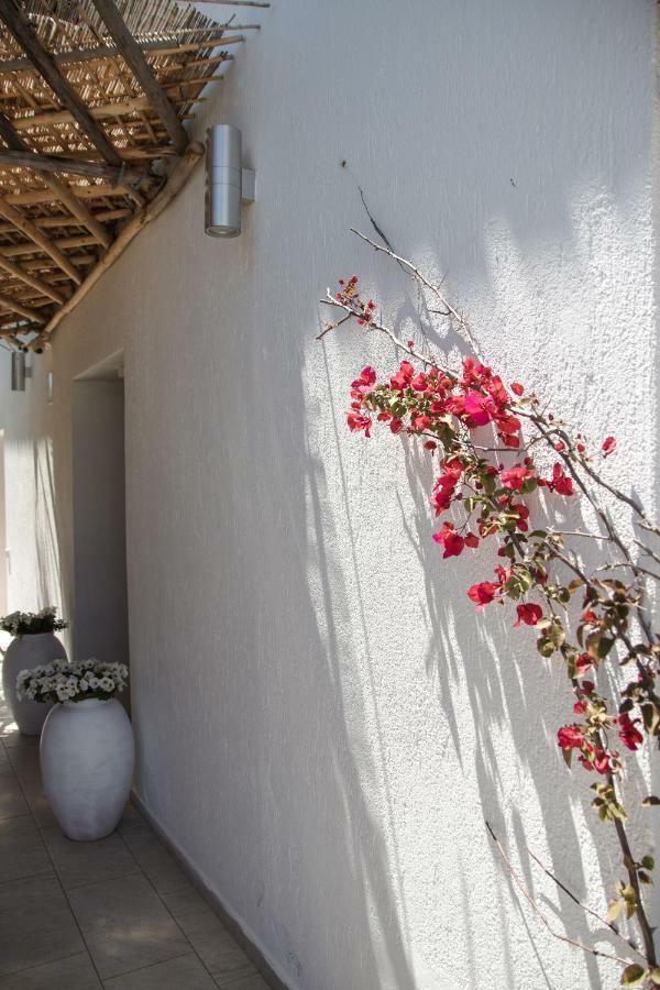Hypnos Boutique Hotel 圣特奥多罗 外观 照片